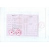 稅務登記證