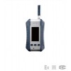 ESP210便攜泵吸式式可燃氣報警檢測器