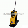 美國華瑞PGM-1600 SearchRAE