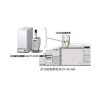 EGA/PY-3030D 多功能熱裂解器