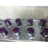 MX6 CO2 (IR) 傳感器 (0-5%VOL)