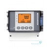 PH5500 pH/ORP 壁掛式在線控制器