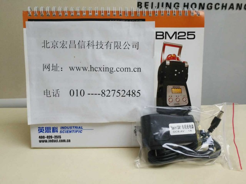 YaXin-1241 充電器