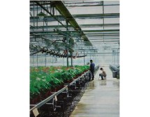 HTWS09溫室監測系統