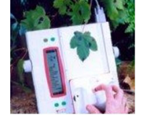 AM-300手持式葉面積儀