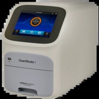 QuantStudio 1 核酸定量系統