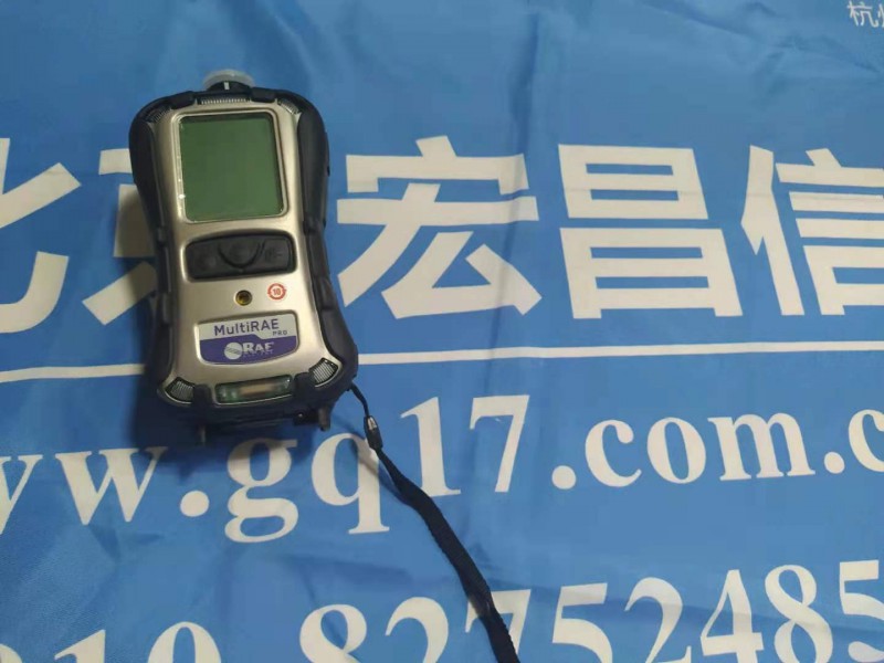 MultiRAE2 PGM-6248復(fù)合氣體檢測(cè)儀主機(jī)