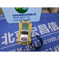 PGM-6208硫化氫檢測儀 現貨 美國華瑞