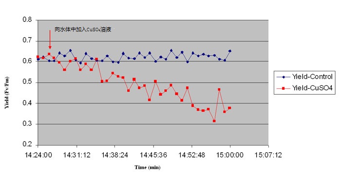 Solinst PhytoFlash 水下活性熒光儀