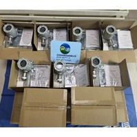 美國華瑞 RAEAlert FGM-3300二氧化硫(SO2)探測器