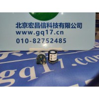 美國英思科 GB Pro 硫化氫(H2S)傳感器 17124975-2