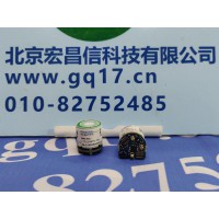 美國英思科 MX6 二氧化硫(SO2)傳感器 17124975-5