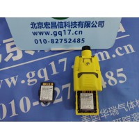 美國(guó)英思科Industrial Scientific M40Pro 17134453-23 普通電池